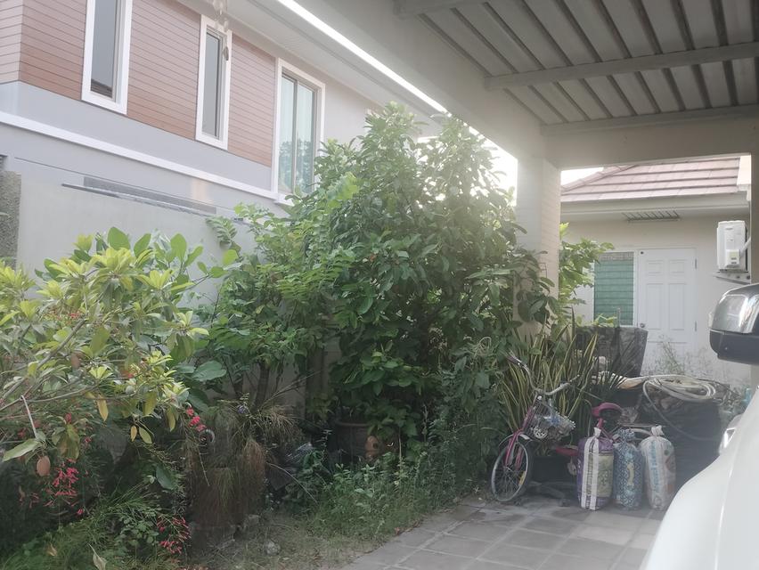 📌ขายด่วน..บ้านเดี่ยว ทำเลทอง‼️ ย้ายไปตจว.บ้านทำเลทอง น้ำไม่ท่วม..เจ้าของขายเอง 11