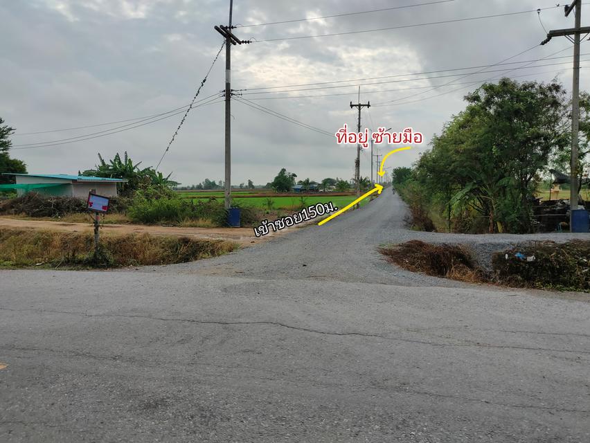 ขายที่ดิน2งานถมแล้ว ต.โคกโคเฒ่า อ.เมือง จ.สุพรรณบุรี