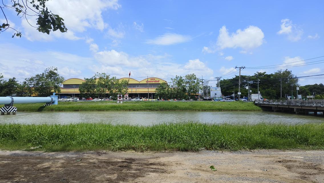 ขายด่วน ที่ดินแปลงสวย หน้าตลาดชุมพลพาณิชย์ 5