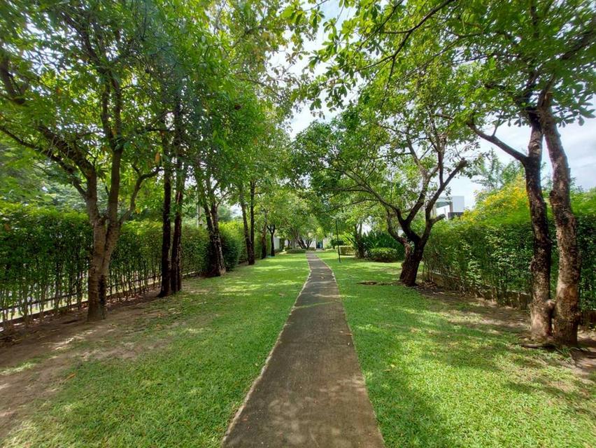 ขายบ้านเดี่ยว 2 ชั้น หมู่บ้านคณาสิริ บางนา 5