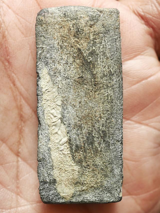 สมเด็จพิมพ์ไพ่ตอง หลวงพ่อพริ้ง วัดบางปะกอก พิมพ์ฐาน 16 ชั้น บัว 5 จุด...เก่า เดิมๆ 8