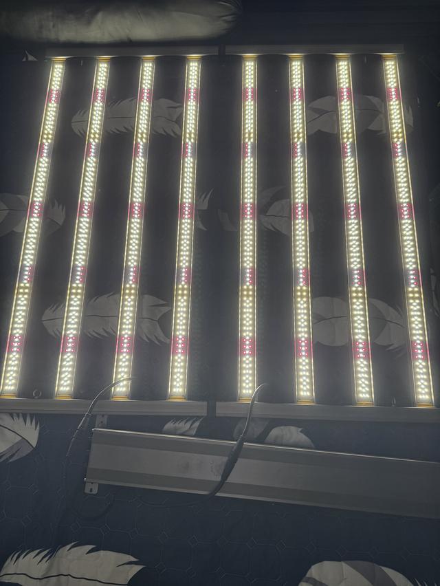 ขายไฟปลูกต้นไม้ Grow Supply Shop Thailand