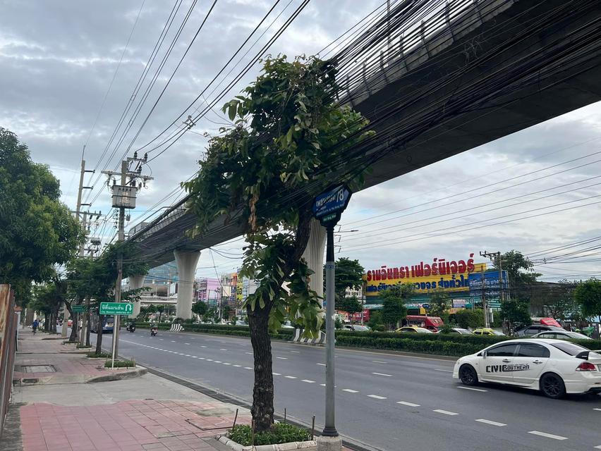 ขายที่ดิน 4-1-50 ไร่ ถมแล้ว ซอยเพชรเกษม 78 1