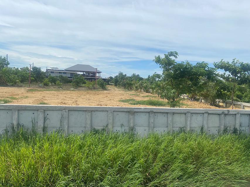 รูป ให้เช่าที่ดิน เนื้อที่ 2 ไร่ ทำถนนเรียบร้อยแล้ว บางใหญ่ นนทบุรี สนใจโทร 081 908 2148