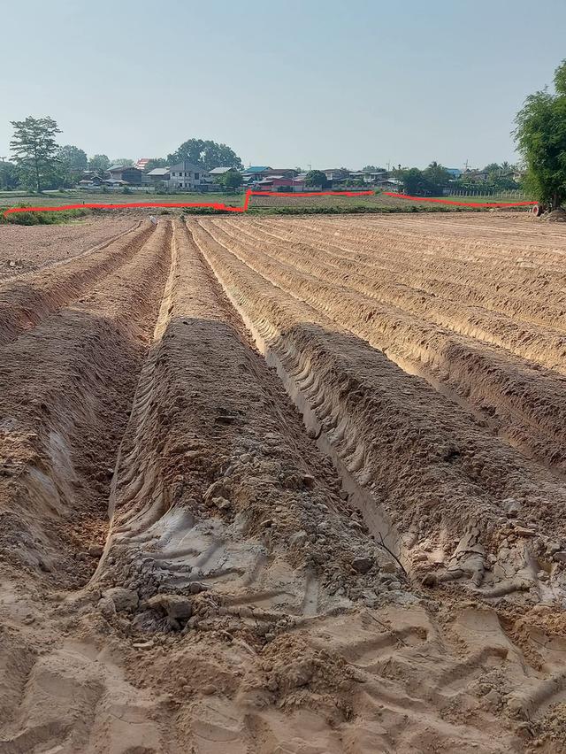 ที่ดินจังหวัดขอนแก่น 9ไร่ 2