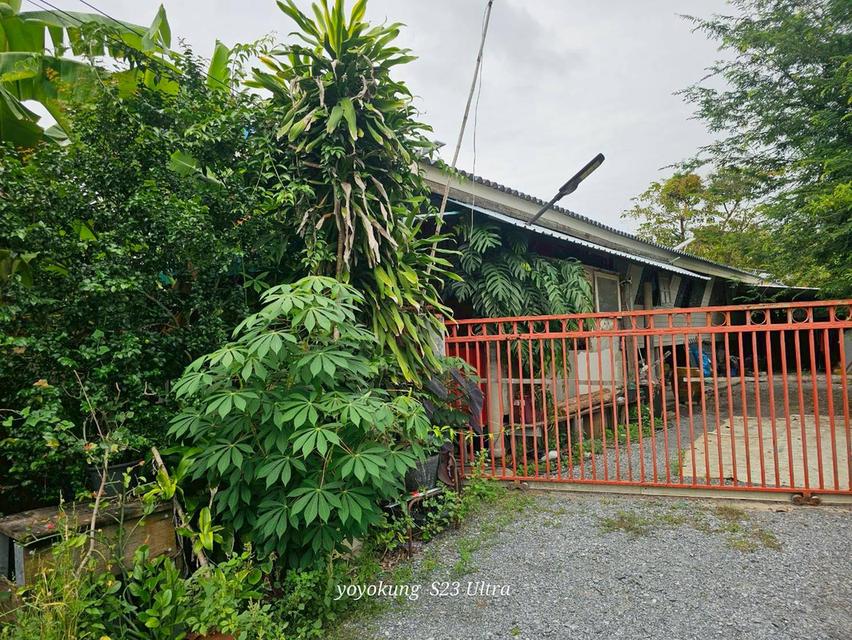 ขายที่ดิน 3-0-80 ไร่ พร้อมสิ่งปลูกสร้าง ติดถนนเลียบคลองขุนศรี ต.ไทรน้อย อ.ไทรน้อย จ.นนทบุรี 6