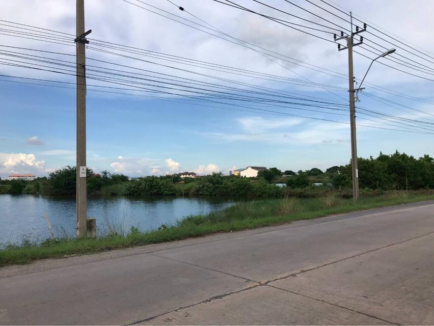 ประกาศขายที่ดินทำเลศักยภาพ ซอยประชาอุทิศ 90 จังหวัดสมุทรปราการ 3