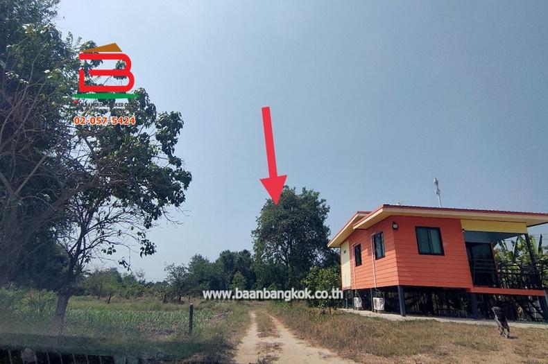 ที่ดินเปล่า บ้านหนองหัวเรือ ซ.6 เนื้อที่ 116 ตรว.ทางหลวงชนบท นว.3102 อ.เก้าเลี้ยว จ.นครสวรรค์
