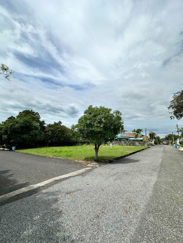 ขายที่ดินถมแล้ว ในหมู่บ้านสหกรณ์ไทยออยล์ 2 แปลง 204 ตร.วา แปลงใหญ่ ติดถนนสายหลัก ศรีราชา ชลบุรี 5