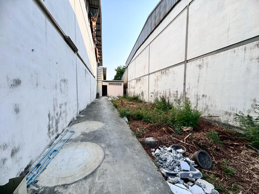 ขายโกดังพร้อมสำนักงานและห้องพักคนงาน ซอยรัตนโชค 12/1 บางปลา 2 สมุทรปราการ (N.1967) 13