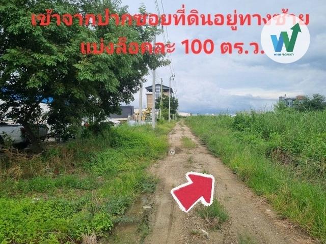 ขายที่ดินลงทุนรับเงินเช่า บางพลี 100 ตร.ว ใกล้แหล่งอุตสาหกรรม ใกล้แหล่งชุมชน 2
