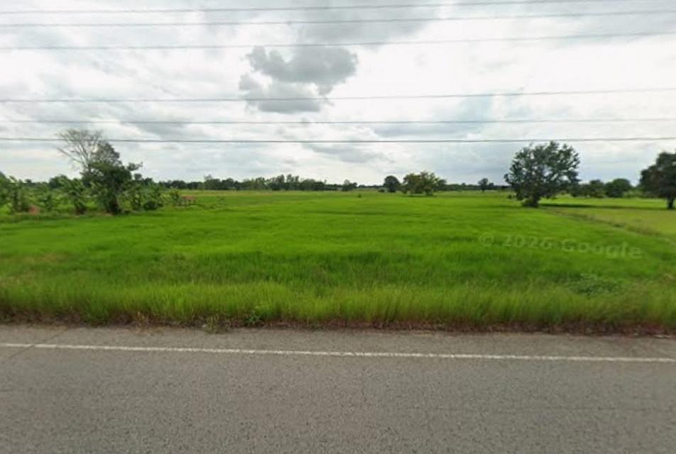 ขายด่วน! ที่ดินชัยภูมิ ราคาต่ำกว่าประเมิน เนื้อที่ 6-2-23 ไร่ ทำเลดี ตำบลหนองบัวใหญ่ อำเภอจัตุรัส จังหวัดชัยภูมิ 6