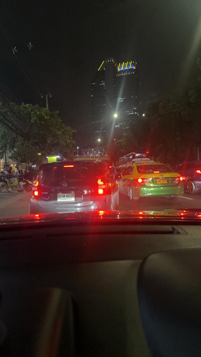 แมว เพศชาย 11