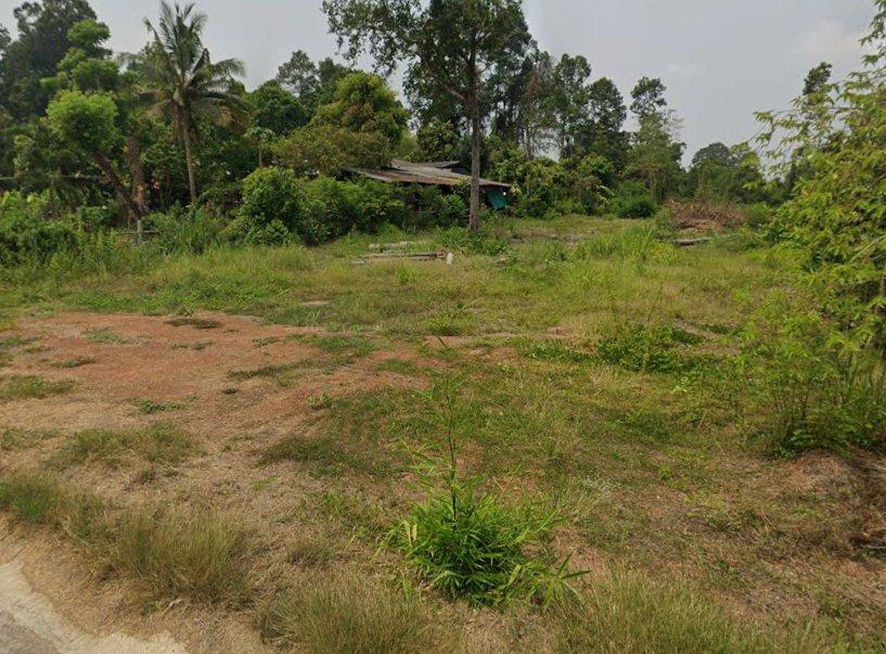 ขายที่ดินท่าถ่าน 2 ไร่ ติดถนนลาดยาง ใกล้ถนนเส้น319-1.1กม. อ.พนมสารคาม ฉะเชิงเทรา 3