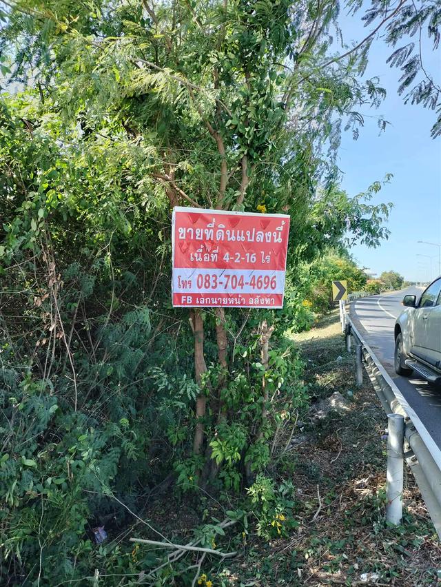 ขายที่ดินติดถนน 4-2-16 ไร่ 2