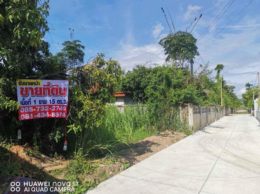 ที่ดินเปล่า 115 ตารางวาที่สัตหีบ รูปที่ 11