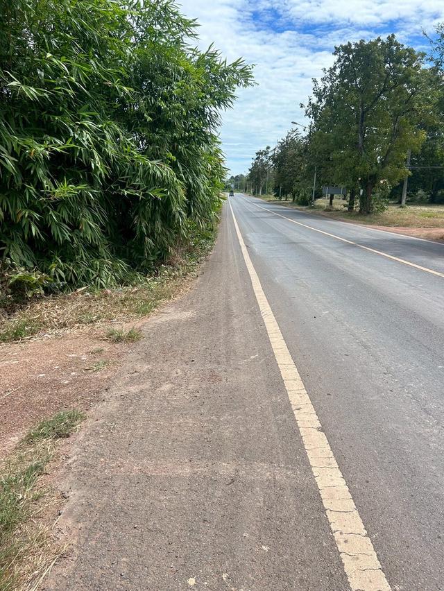 ที่ดินเปล่า 21 ไร่ 31 ตรว. ต.โพธิ์ทอง อ.ประจันตคาม จ.ปราจีนบุรี 4