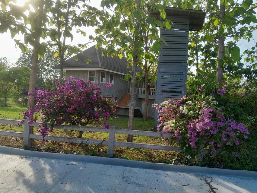 ที่ดินพร้อมบ้าน 2 ไร่ 2.7 ล้าน ต.วังหมี บ้านโคกสันติสุข