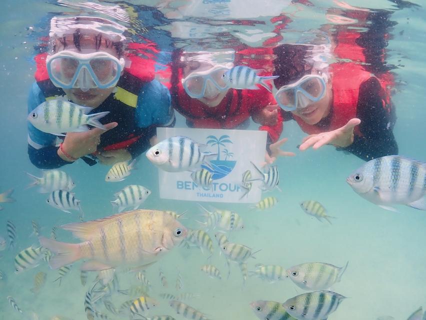 โปรแกรม SM115 ทัวร์ดำน้ำแสมสาร  One day trip ราคา 1,800 บาท รวมทุกอย่าง จาก กทม. 5