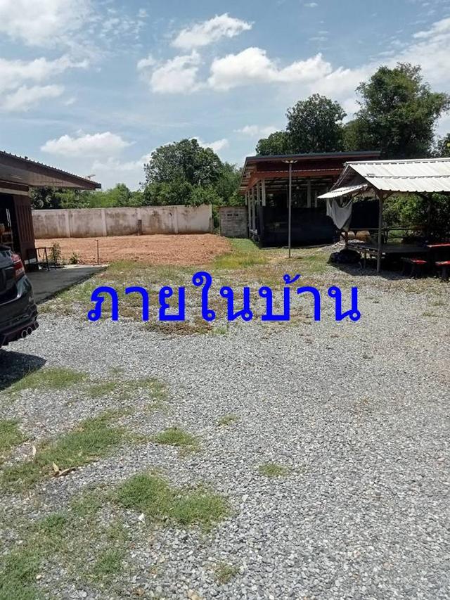 ขายบ้านพร้อมที่ดิน 100 ตรว ต.ตาลเดี่ยวทางเข้าโรงเรียนวัดนาบุญ ห่างถนนแก่งคอยบ้านนา 1.2 กม ขาย 6.5 แสน 13