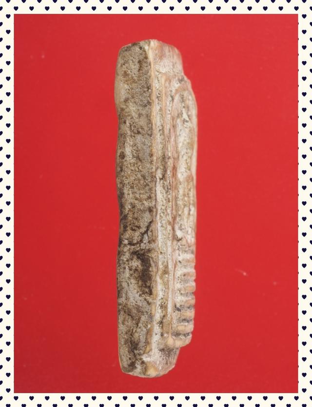 b45.พระสมเด็จ พระเบญจภาคี พระเครื่อง 3