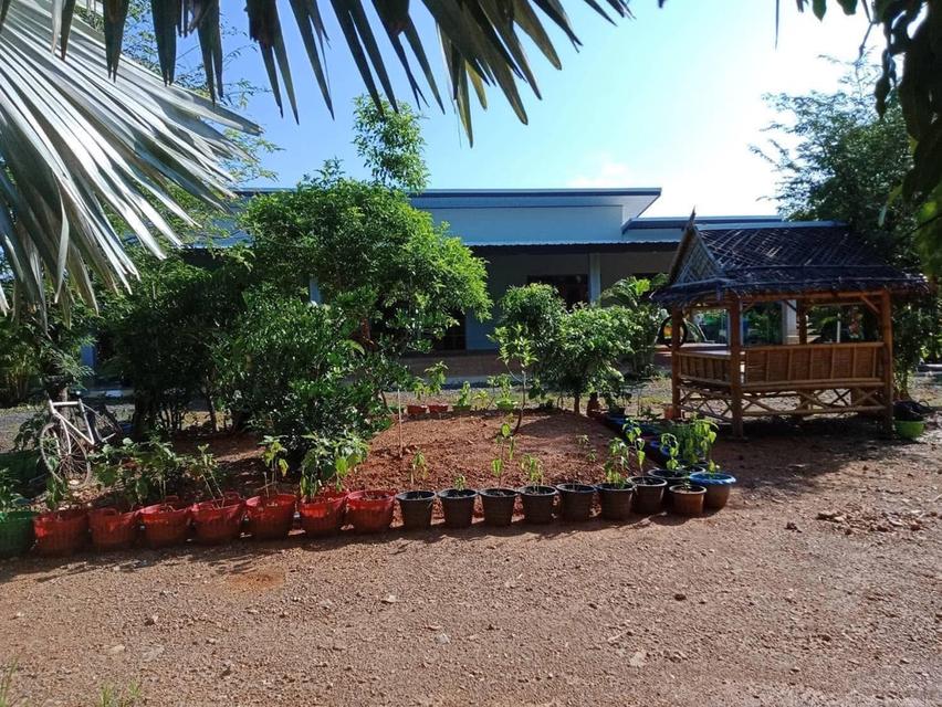 บ้านพร้อมที่ดินโฉนดติดวิวเขาใกล้ทะเล 11