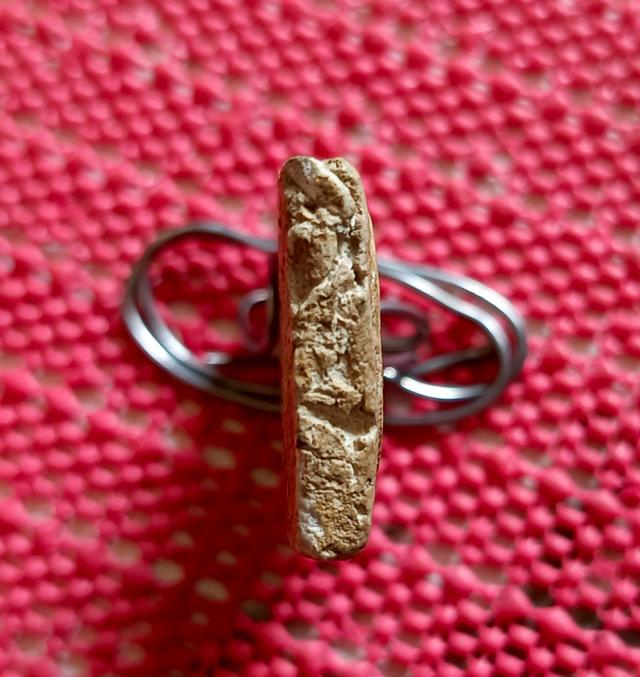 พระสมเด็จ วัดระฆังโฆสิตาราม พิมพ์ใหญ่ รูปที่ 2