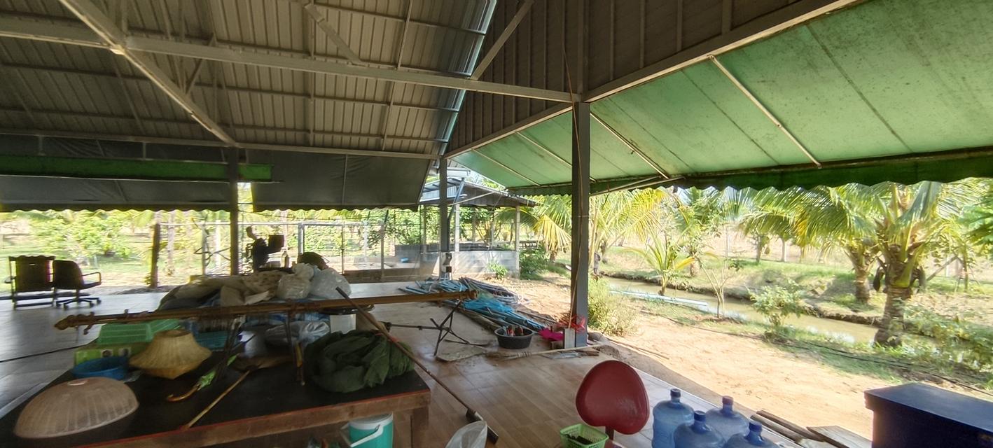 บ้านสวนพร้อมที่ดินสวย 12