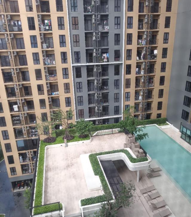 ปล่อยเช่า Plum Condo Pinklao Station ห้องวิวสระวิวในโครงการ 3