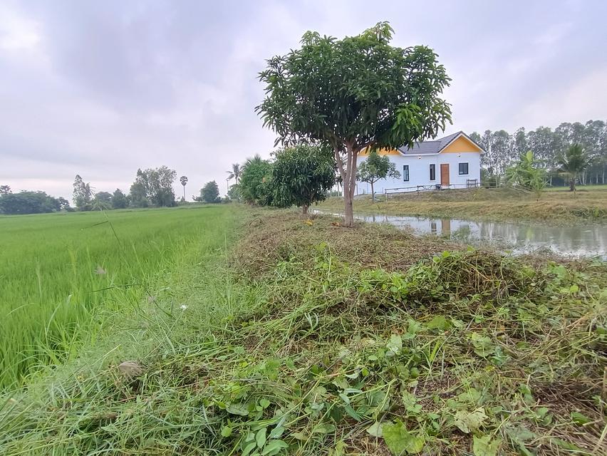 บ้านพร้อมที่ดิน 2ไร่2งาน80ตารางวา 12