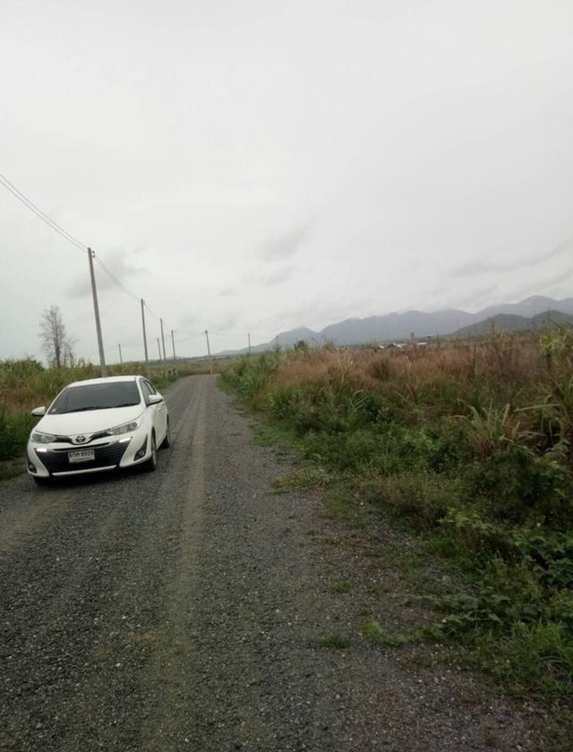 ที่ดิน 1 ไร่ ตำบล ไร่ใหม่พัฒนา อำเภอชะอำ จังหวัดเพชรบุรี 2