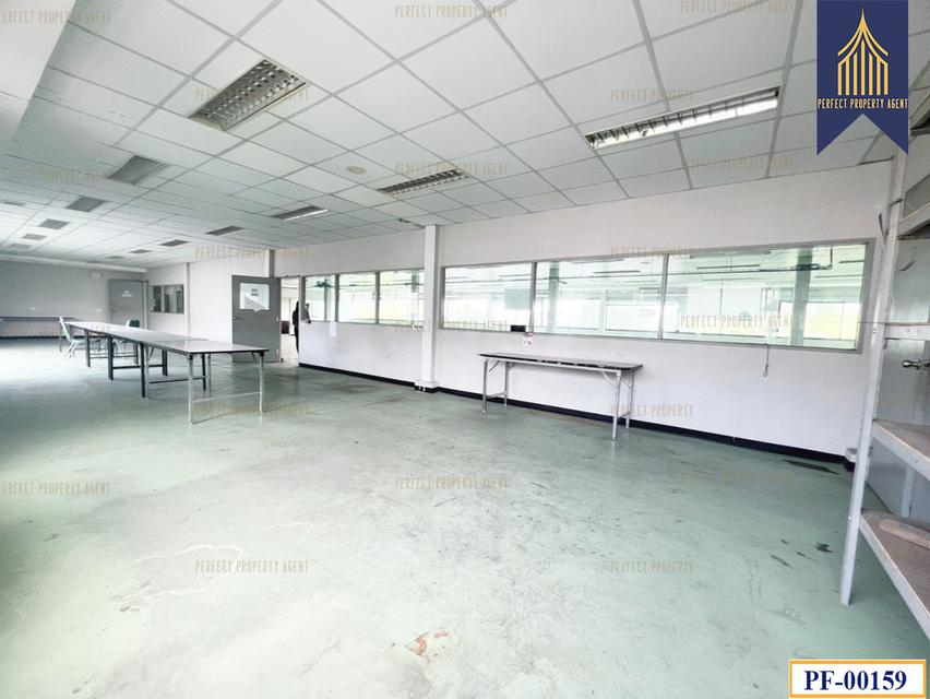 ขายพร้อมผู้เช่า โรงงานนิคมอุตสาหกรรมบางพลี สมุทรปราการ บางเสาธง เทพารักษ์ 11