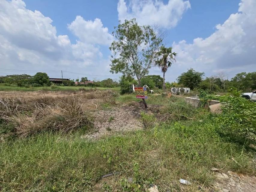 Vายที่ดิน 400 ตารางวา ประชาสำราญ แขวงคลอง12 ตะวันออก เขตหนองจอก กรุงเทพมหานคร 2