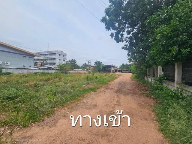 ขายบ้านพร้อมที่ดิน ติดการไฟฟ้าส่วนภูมิภาคจังหวัดชัยภูมิ 3