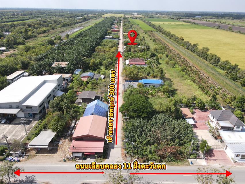 ที่ดินถมแล้วพร้อมสร้างบ้าน สาธารณูปโภคครบ คลอง 11 อ.หนองเสือ จ.ปทุมธานี 3