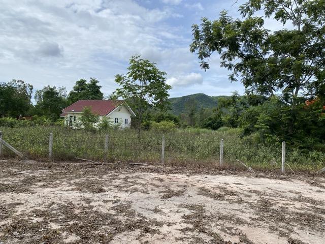 Land plot  4