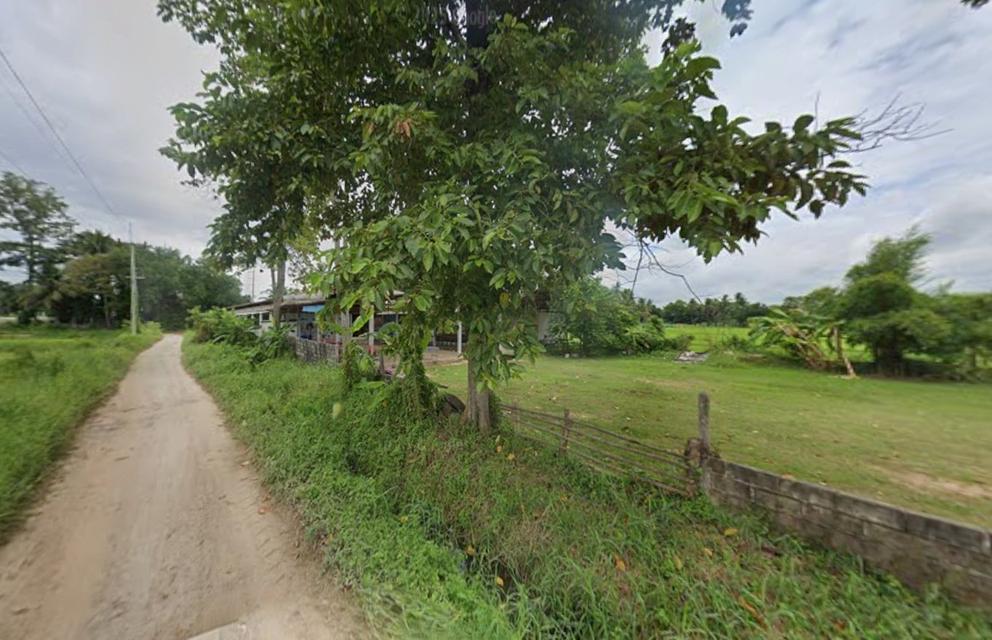 ที่ดิน ขายที่ดินขอนแก่น  2 ไร่ 3 งาน 11.2 ตร.ว. ติดถนนเลี่ยงเมือง ใกล้พุทธมณฑลอีสาน 4