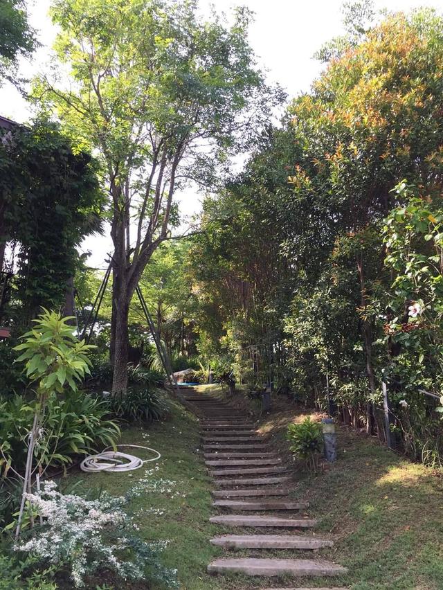 ขายบ้านบนเนินเขา ติดน้ำ บ้านพักตากอากาศเขาใหญ่ บ้านเขาใหญ่บนเนิน วิวเขาสวยมาก เนื้อที่ 1 ไร่ 2 งาน ติดเส้น 3052 โป่งตาลอง ใกล้ทอสคาน่า วเขาล้อมรอบ 11