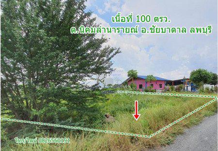 รูป ขาย ที่ดิน จัดสรร ชัยบาดาล ลพบุรี 100 ตร.วา ที่ดินแปลงสวย Land for SALE in Lopburi 4