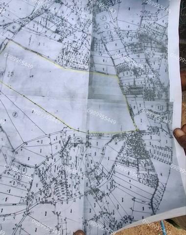 ขายที่ดินสวยใกล้แหลมฉบังชลบุรี พื้นที่สีเหลือง ศรีราชา จ.ชลบุรี เนื้อที่ 385-2- 6.9 ไร่ 2