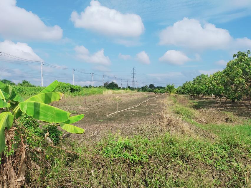 ที่ดิน 3