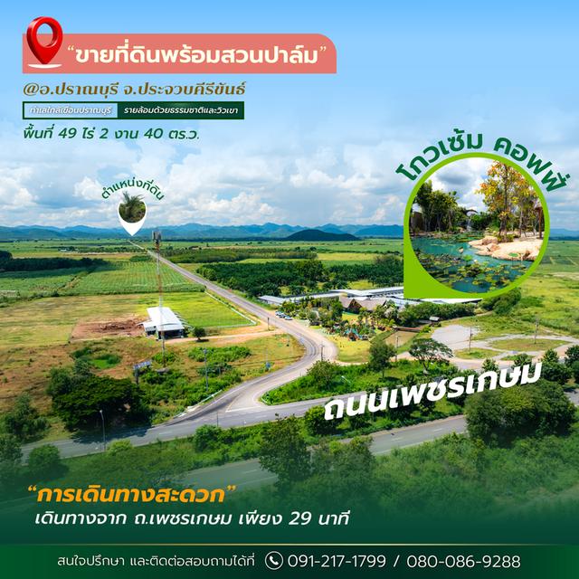 ที่ดินพร้อมสวนปาล์ม ใกล้เขื่อนปรานบุรี 5