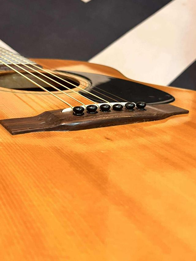 Hummingbird customF150 japan 3
