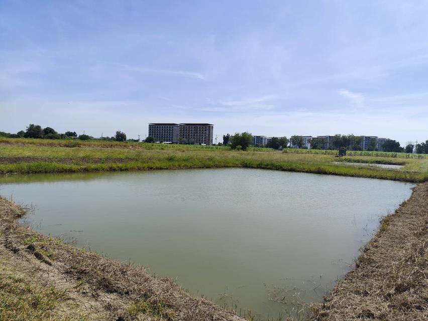 Sale beautiful land Nakhon Pathom near University Kaset 9