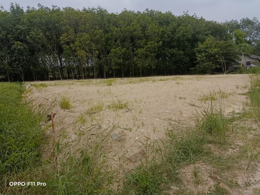 ขายที่ดินติดคลอง 8