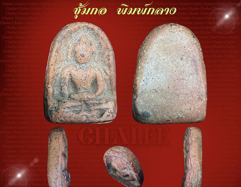ชุ้มกอ พิมพ์กลาง กำแพงเพชร 1