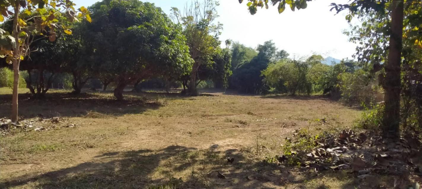 ที่โฉนดติดแม่น้ำวังพื้นที่ 5ไร่2งาน69ตรว.1.9 ล้านบาท (ฟรีโอน)ด้านในบริเวณที่ดินปลูกไม้สัก ลำไย มะม่วงที่ดินมี2ระดับชั้น ชั้นบนจะอยู่ระดับเดียวกับถน 2