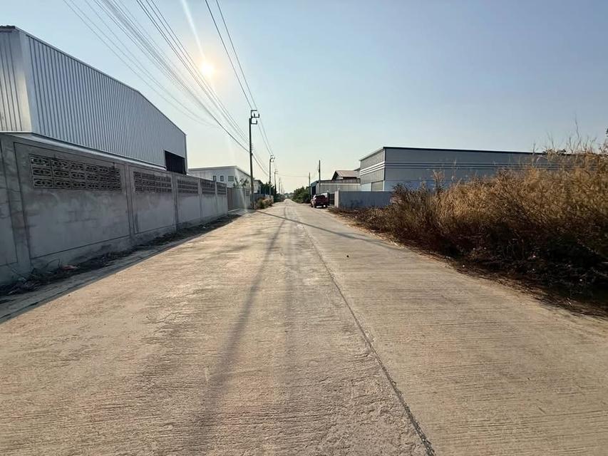 ขายด่วน!! ที่ดิน 200 ตารางวา) ( ถนน 340 ชอยปิ่นทองแองแลนด์ ไทรน้อย นนทบุรี 3