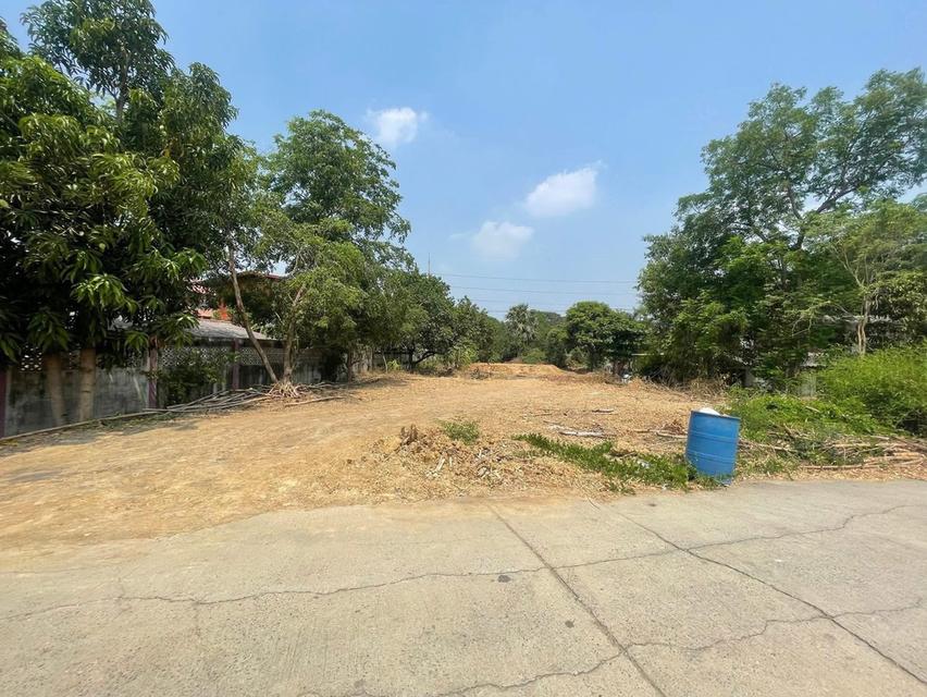 ขายที่ดินบางปะหัน ตำบลเสาธง ใกล้ถนน347 1