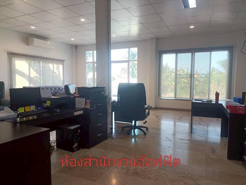 โฮมออฟฟิศ โกดัง พร้อมบ้านพักคนงาน เนื้อที่ 2 ไร่ ถนนเลียบคลองหลุมลี ตำบลบ้านใหม่ อำเภอบางใหญ่ จังหวัดนนทบุรี 4